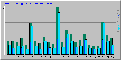 Hourly usage for January 2020